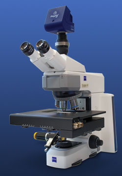 Mikroscan S2