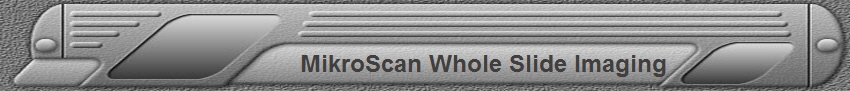 MikroScan Whole Slide Imaging