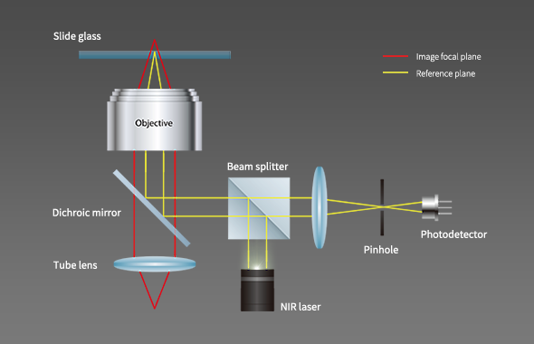 LASER-AUTOFOCUS_CELENA-X