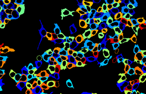 data-analysis_CELENA-X-Logos_Biosystems-1