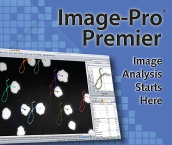 IP_Premier_1