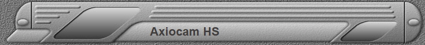 Axiocam HS