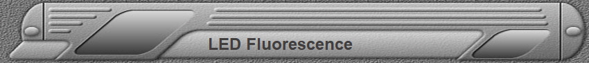 LED Fluorescence