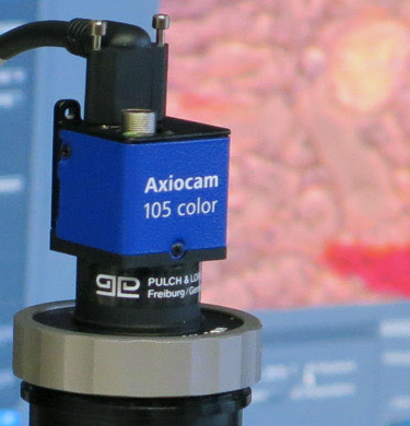 axiocam-105-color-axiolab-a1-zen-01