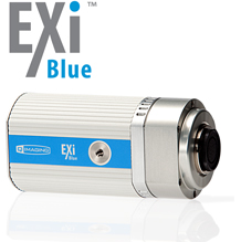 exiblue_withlogo