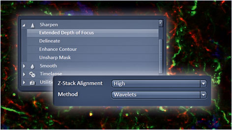 extended_focus_zen_modules