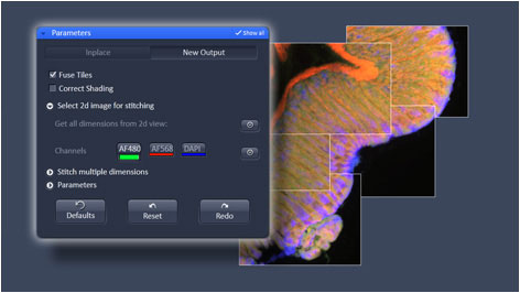 panorama-zen-microscopy