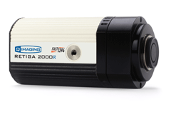 retiga2000R
