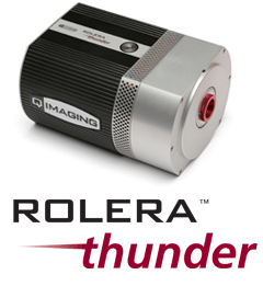 rolerathunder-with-logo
