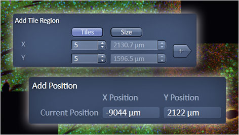tiles_positions_zen_modules