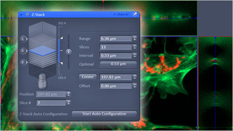 z-stack-zen-microscopy