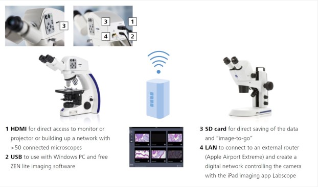 zeiss-labscope-technote-figure3-622x367