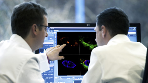 zen-microscopy